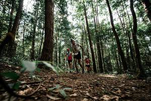 BIB: 
                            <button type="button" onclick="openModal(25261147)" class="btn btn-primary btn-sm float-right btn-popup" data-toggle="modal" data-target=".modal-high-quality">
                        <i class="fas fa-shopping-cart"></i> Add to Cart
                    </button>
                                            <button type="button" onclick="isThisMe(25261147, true)" class="btn btn-success btn-sm float-right btn-popup btn-isme hidden" data-toggle="tooltip" data-placement="bottom" title="นี่คือรูปของคุณใช่ไหม คลิกที่นี่เพื่อเอาเข้าอัลบั้ม">
                        <i class="fas fa-plus"></i> Add to album
                    </button>
                    <button type="button" onclick="isThisMe(25261147, false)" class="btn btn-warning btn-sm float-right btn-popup btn-isnotme hidden">
                        <i class="fas fa-ban"></i> Remove from album
                    </button>